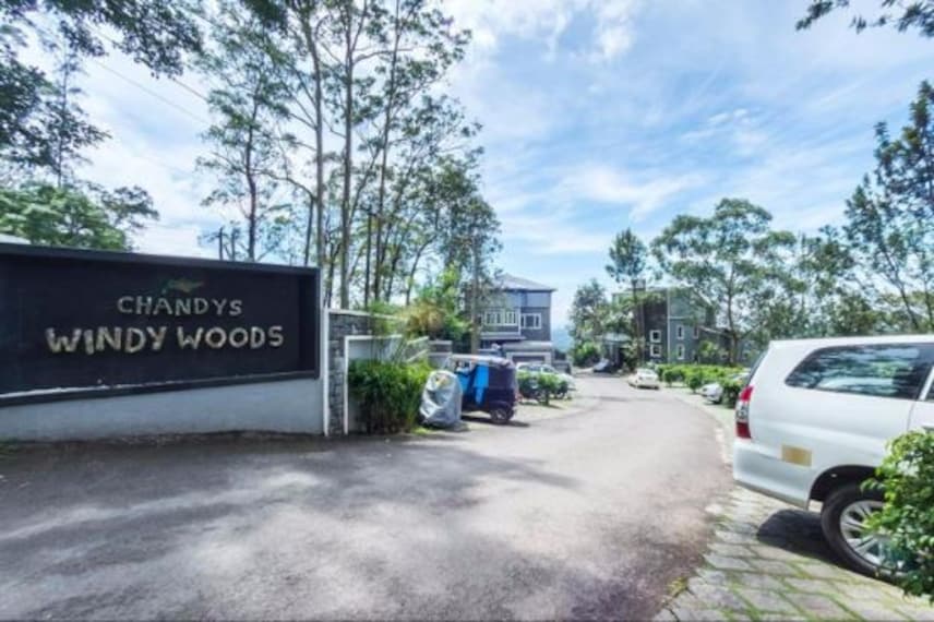 Chandys Windy Woods_3